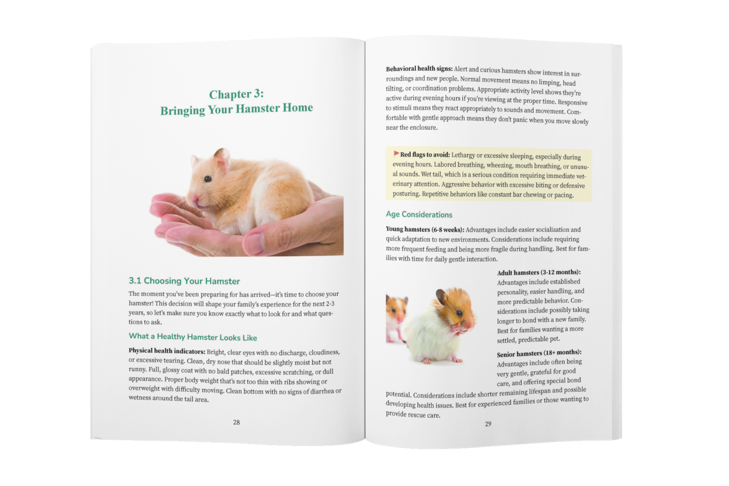 Hamster Care for Beginners