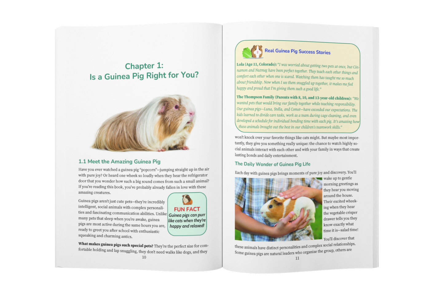 Guinea Pig Care for Beginners