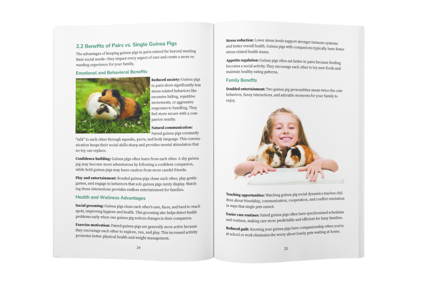 Guinea Pig Care for Beginners