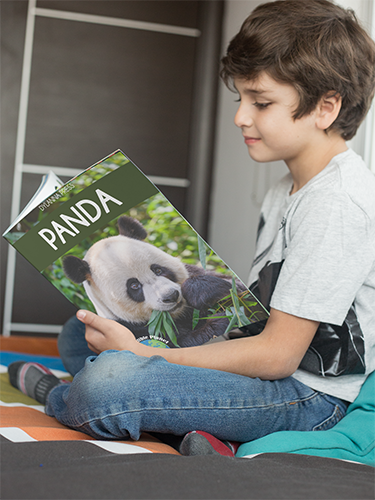 Panda: Fascinating Animal Facts for Kids (This Incredible Planet)