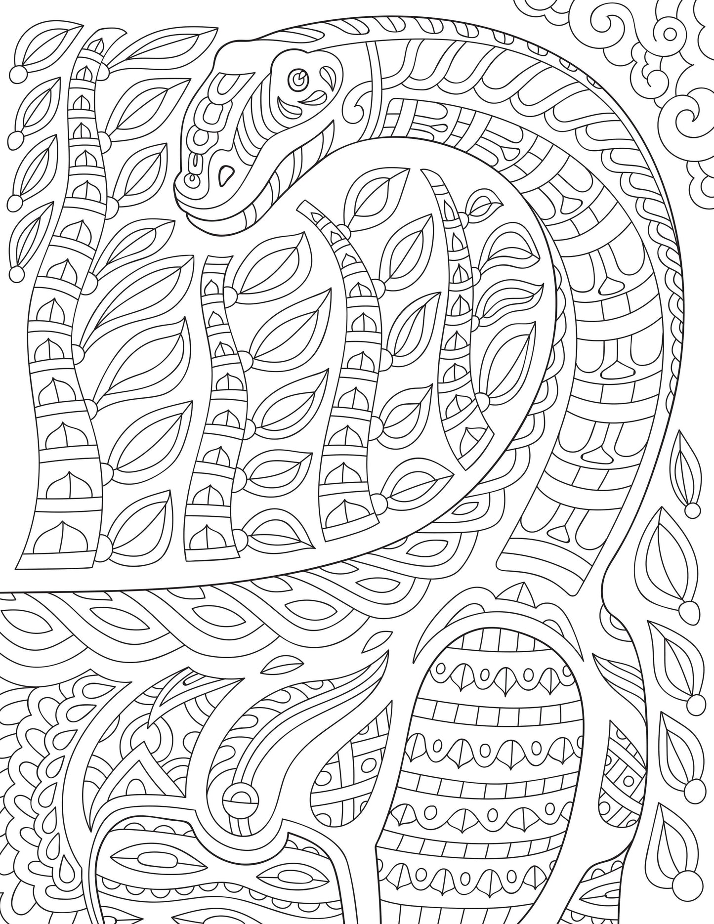 Dinosaur Coloring Book for Adults