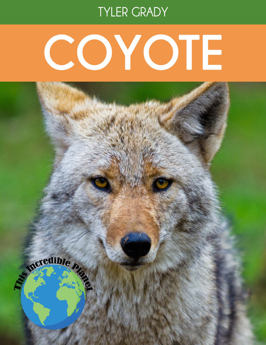 Coyote: Fascinating Animal Facts for Kids (This Incredible Planet)