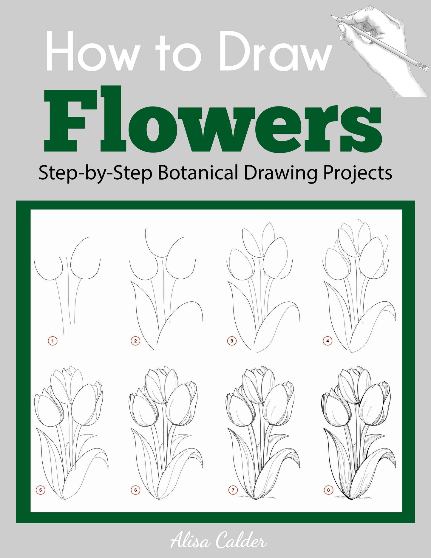 How to Draw Flowers: Step-by-Step Botanical Drawing Projects