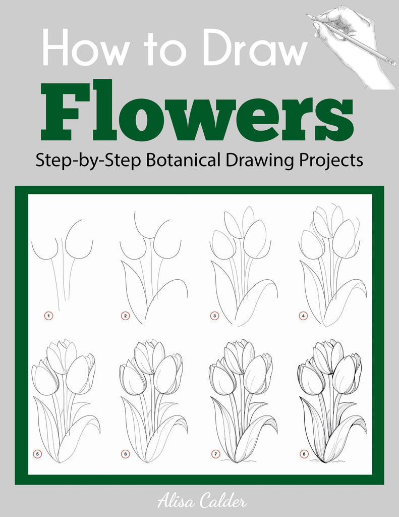 Flower Project Drawing How to Draw Flowers: Step-by-Step Botanical Drawing Projects – Dylanna ...