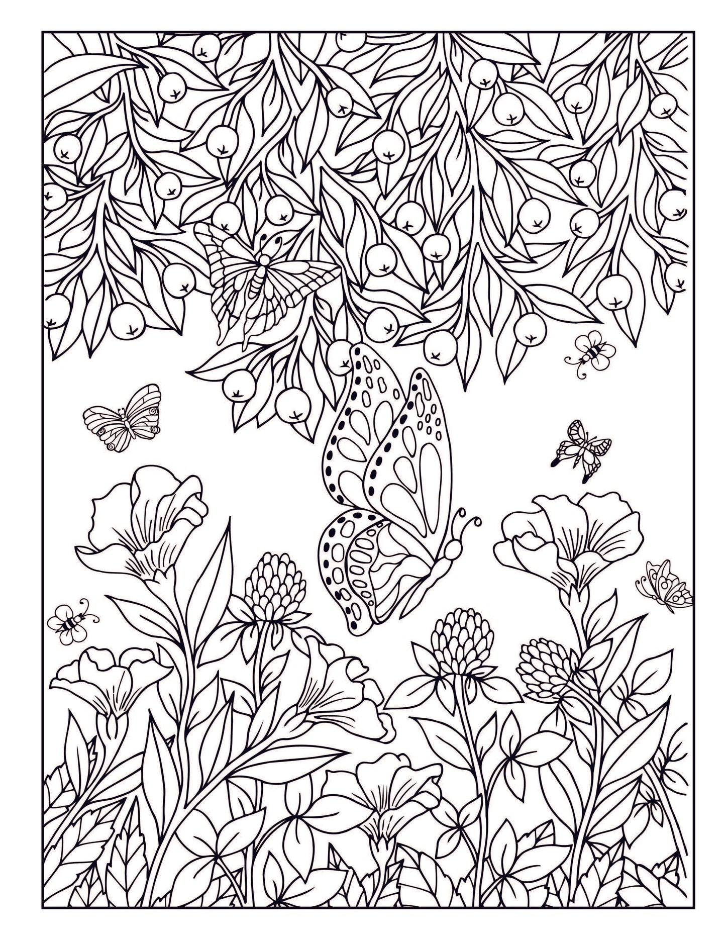 Beautiful Butterfly Coloring Book