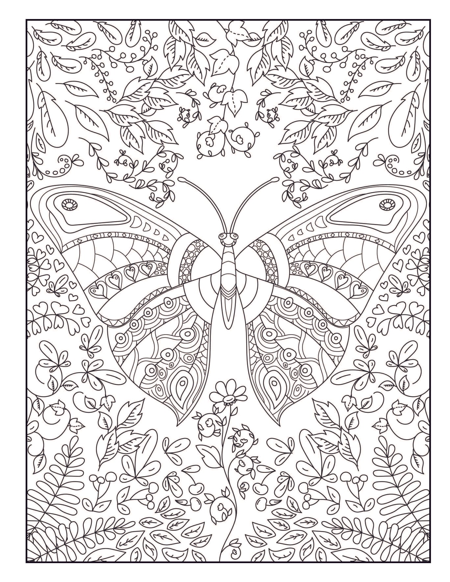 Beautiful Butterfly Coloring Book