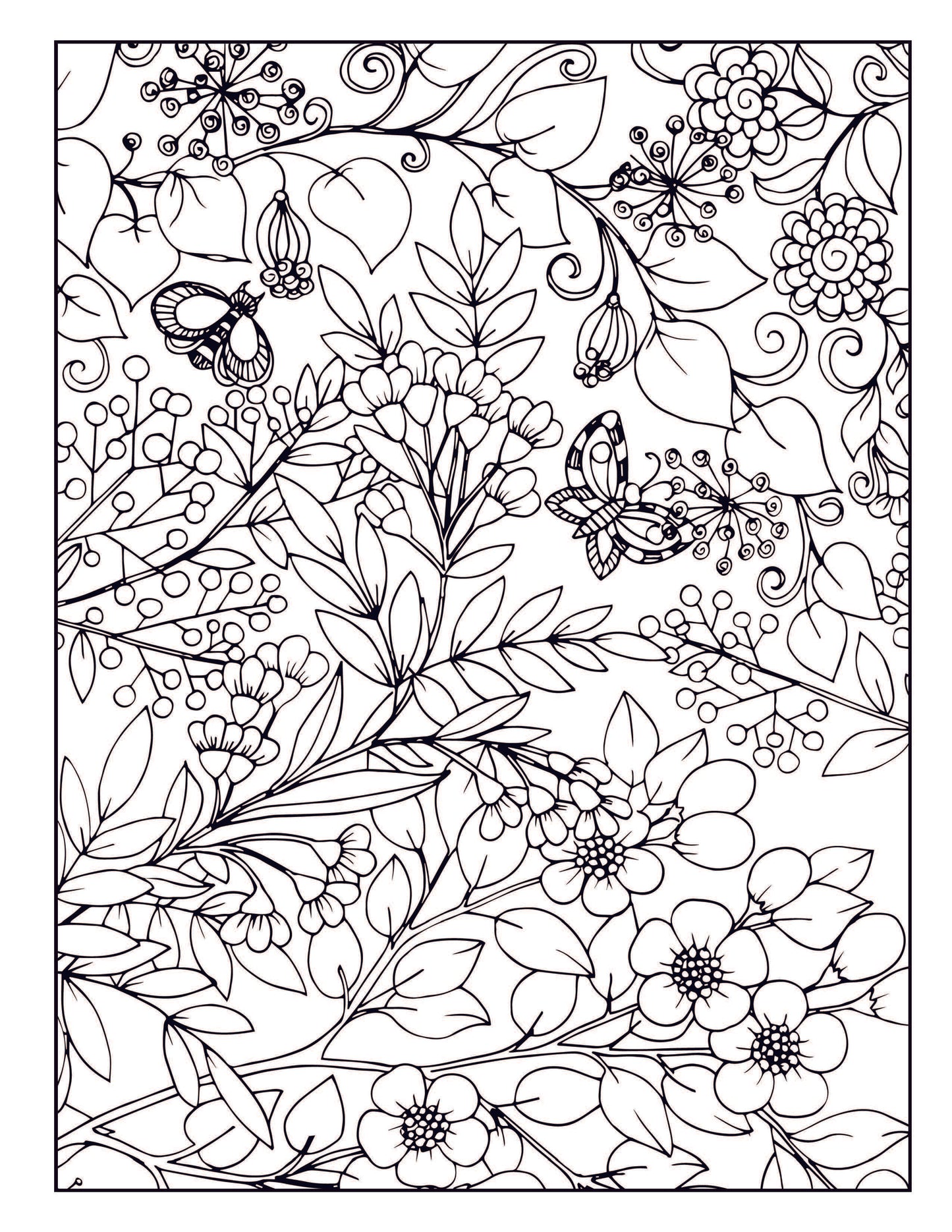 Beautiful Butterfly Coloring Book