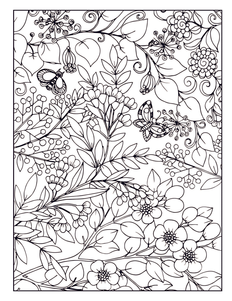 Large Print Adult Coloring Book: An Easy and Simple Coloring Book for Adults  of Spring with Flowers, Butterflies, Country Scenes, Designs,  by  Coloring Book Industries