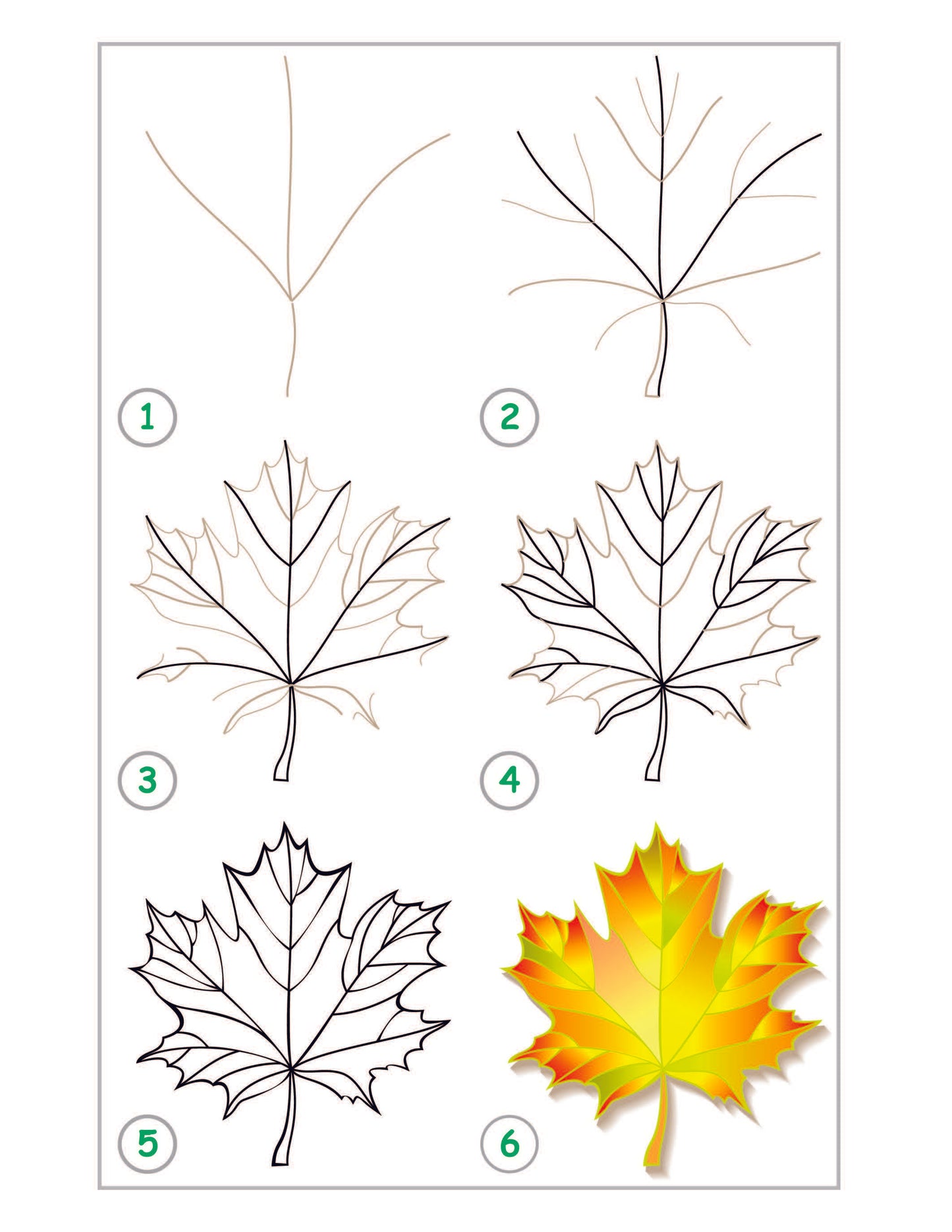 How to Draw: 53 Step-by-Step Drawing Projects