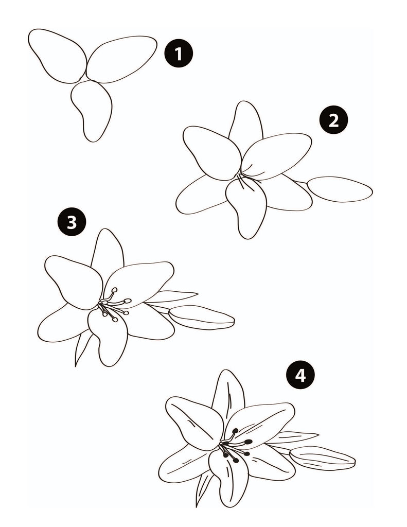 Drawing A Flower Step By Step