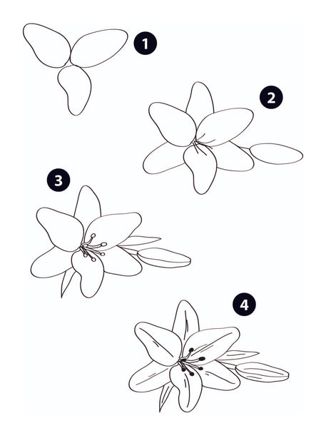 How to Draw Flowers: Step-by-Step Botanical Drawing Projects