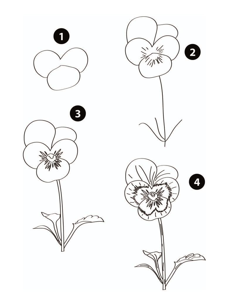 How To Draw Flowers Step by Step Botanical Drawing Projects Dylanna how-to-draw-flowers-step-by-step-botanical-drawing-projects-dylanna