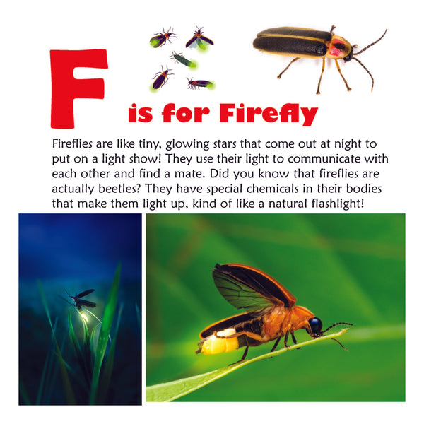 Amazing Bugs A to Z: An ABC Book for Curious Kids with Interesting Facts About Insects