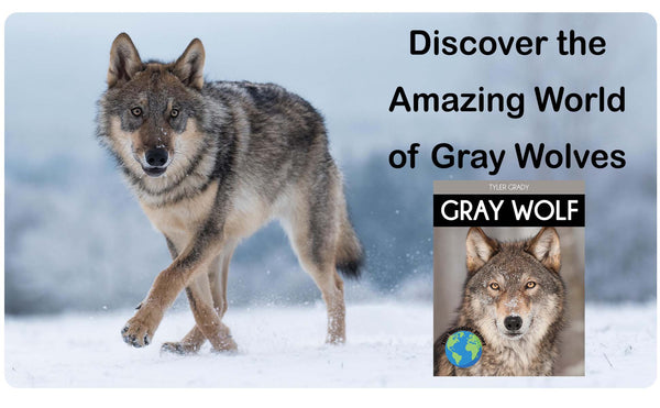 Gray Wolf: Fascinating Animal Facts for Kids (This Incredible Planet)