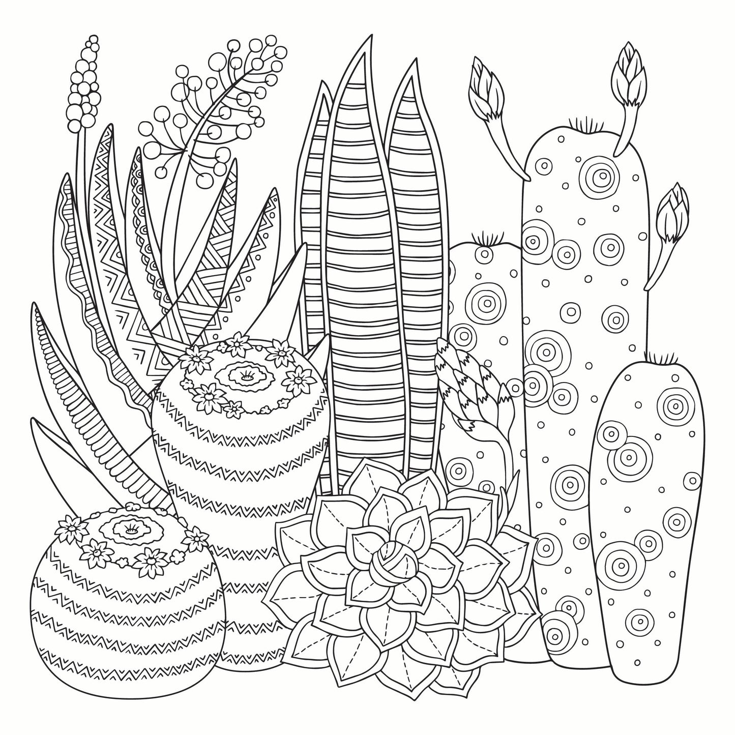 Sensational Succulents