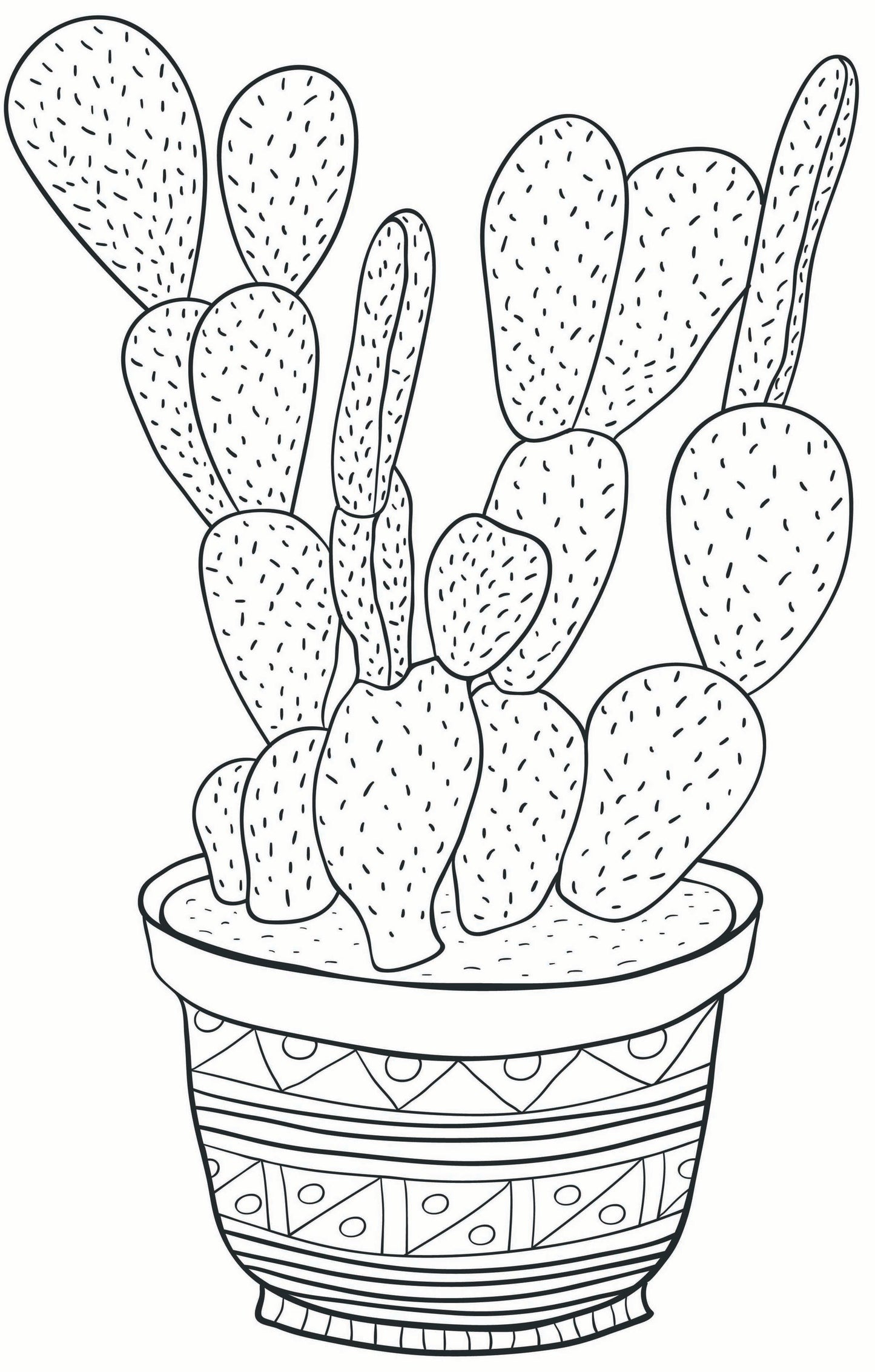 Sensational Succulents