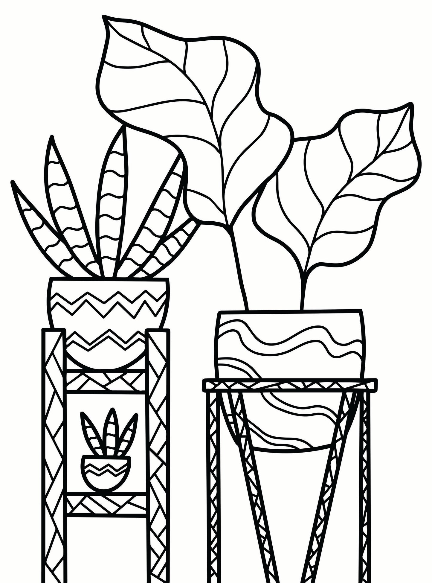 Houseplants Coloring Book