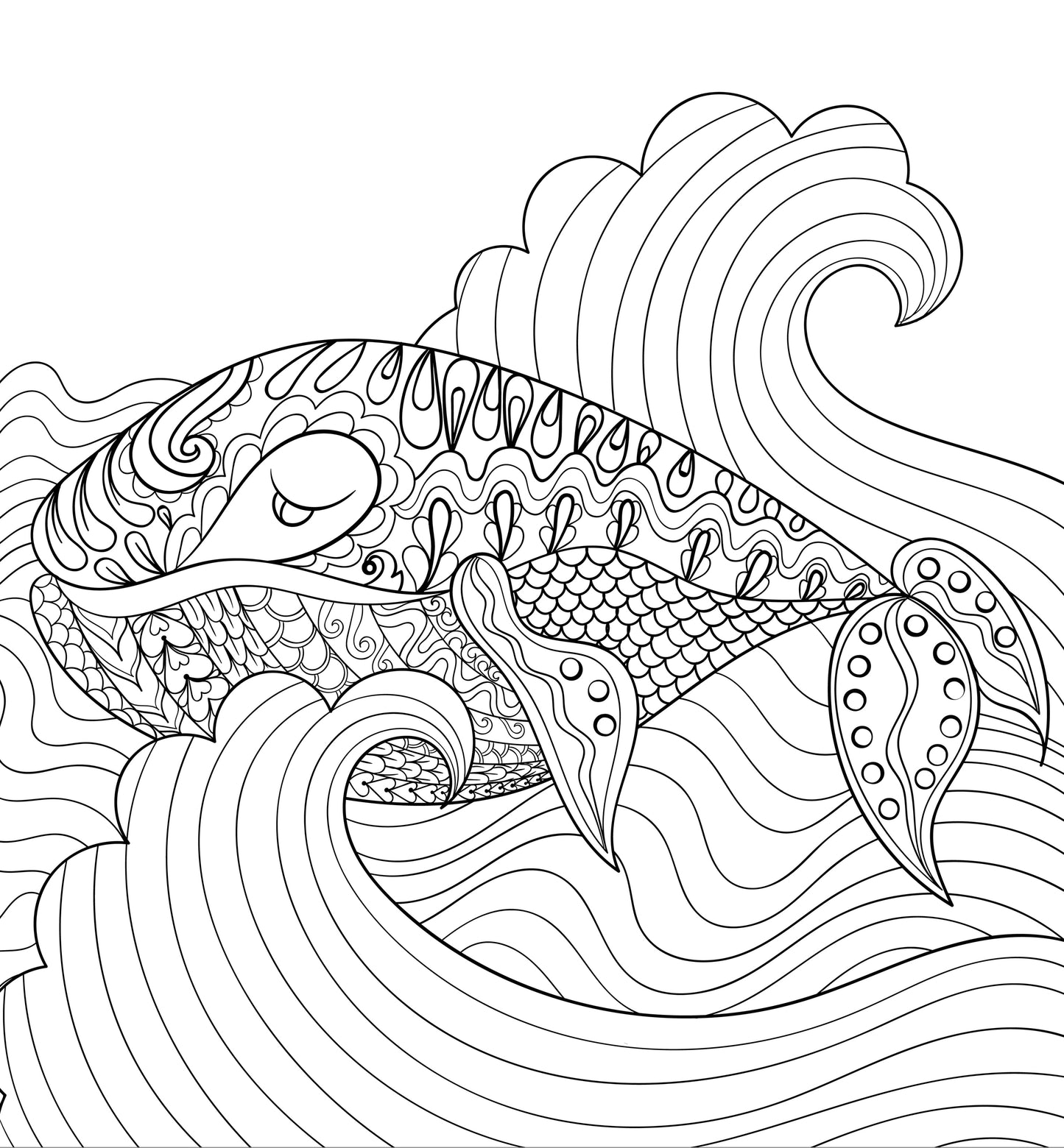 Whale Coloring Book for Adults