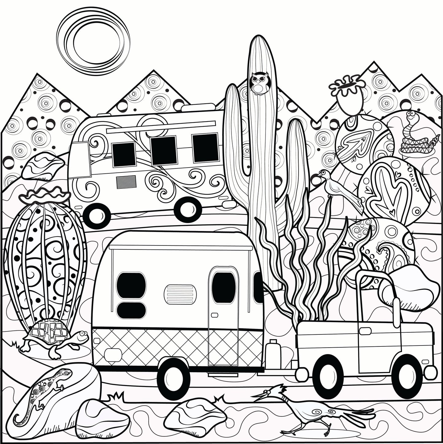 Sensational Succulents