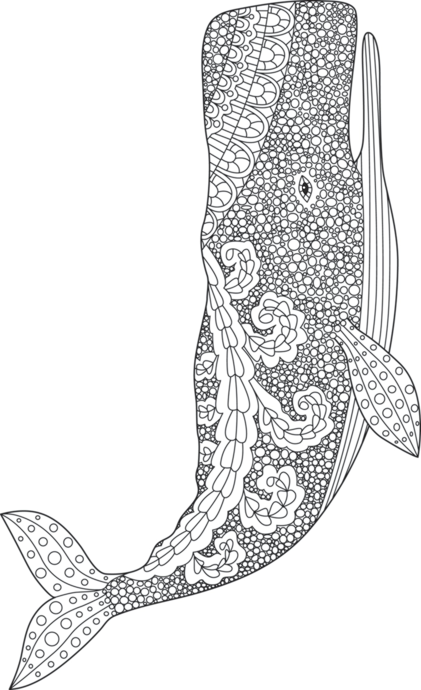 Whale Coloring Book for Adults