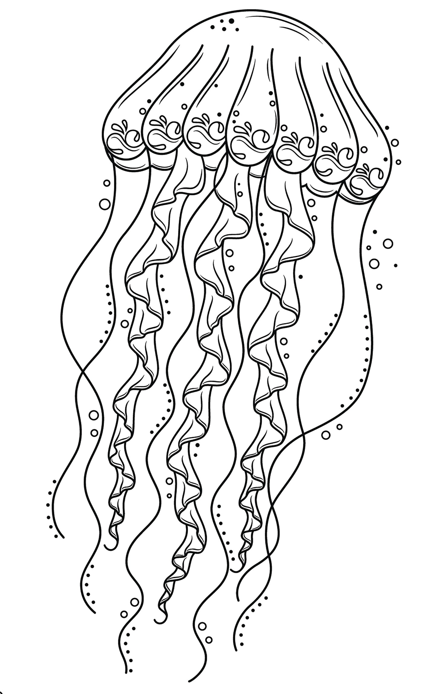 Jellyfish Coloring Book for Adults