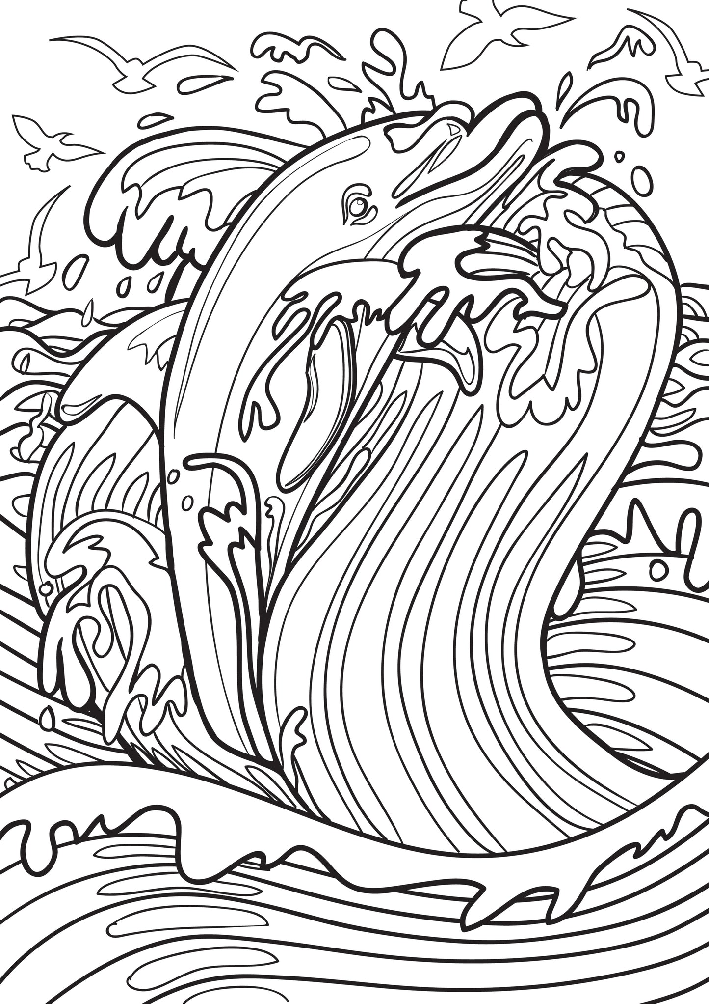 Dolphin Coloring Book